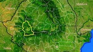 Rezultate Evaluarea Națională 2019 (Capacitate) Hunedoara