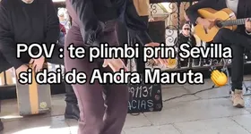 Galerie foto - poza 2