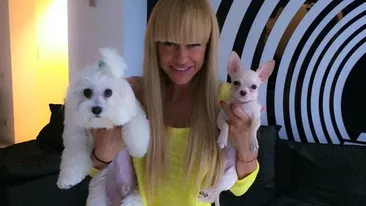 Anda Adam, schimbare RADICALA de look! Fanii au ramas fara cuvinte: Ce bine iti sta fara...