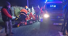 Galerie foto - poza 1