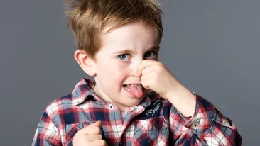 Legea care uimeşte România! Stai la bloc şi faci mâncare? Iată ce păţeşti dacă îţi iese mirosul din casă