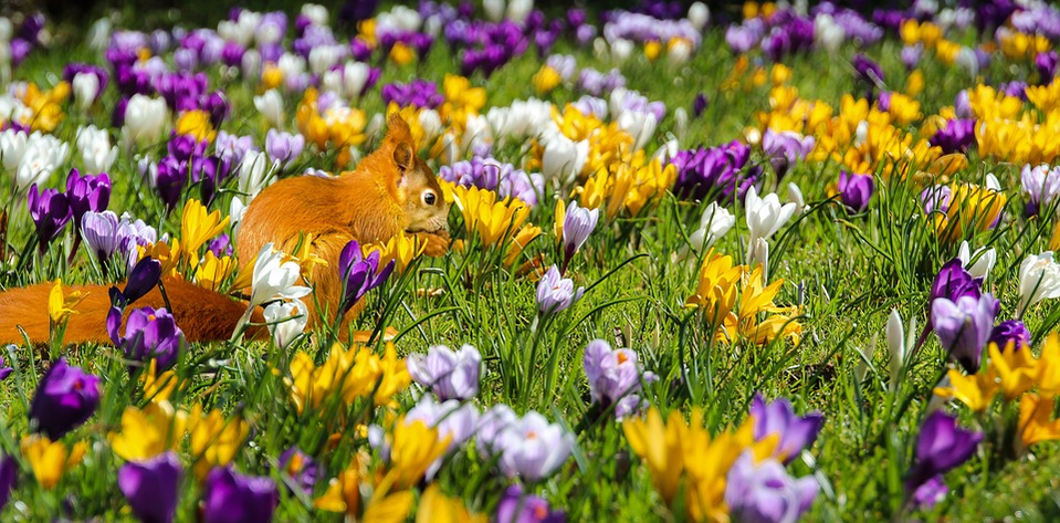 ANM anunță venirea primăverii! Temperaturi de aproape 20 de grade în toată România