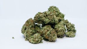 România este tot mai aproape de legalizarea consumuli de canabis în scop medical. PSD dezbate proiectul în interiorul partidului
