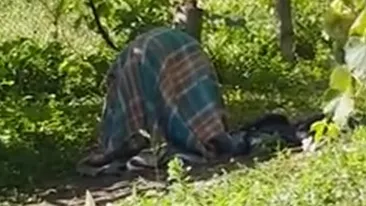 VIDEO - Imagini ŞOCANTE! O tânără din Ursaţi cu handicap, ţinută în lanţuri legată de un stâlp ca un animal 