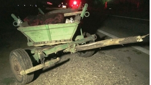 Dublă tragedie în Constanța! Doi bărbați au murit după ce căruța în care se aflau a fost lovită de o mașină
