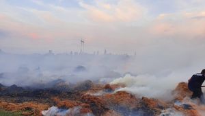 Incendiu puternic pe o suprafață de patru hectare în Ialomița. Pompierii încearcă să lichideze flăcările de aproape 48 de ore