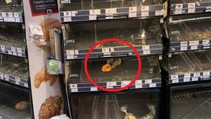 Imagini șocante dintr-un magazin din Capitală! Doi șoareci „servesc” un covrig chiar din vitrină