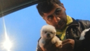 Trafic cu catei in fata unuia dintre cele mai de fite cluburi din Mamaia. Cat costa un exemplar de rasa vandut la coltul strazii
