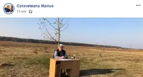 Galerie foto - poza 2