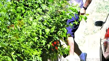 E mare fan al saloanelor de infrumusetare! Metrosexualul Enache