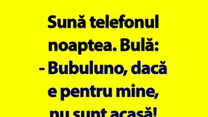 BANC | Sună telefonul noaptea. Bulă: "Bubulino, dacă e pentru mine, nu sunt acasă"