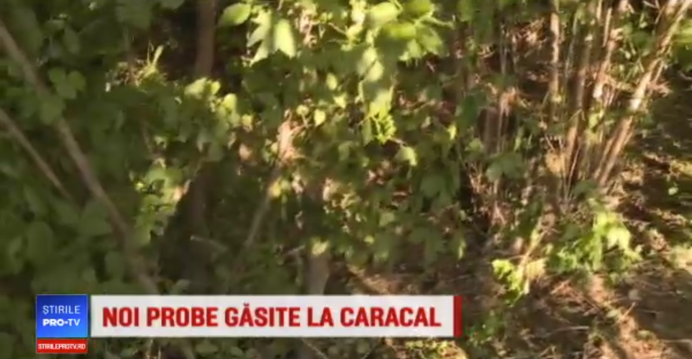 Imagini din pădurea în care Gheorghe Dincă a aruncat trupul Luizei. Detaliul șocant descoperit de anchetatori
