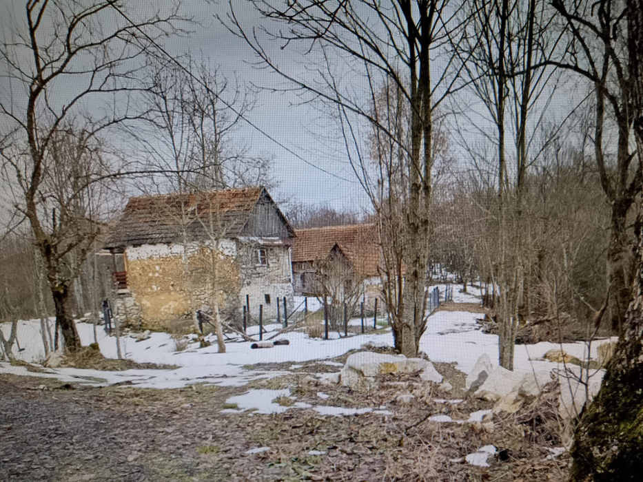 Satul părăsit din Apuseni care atrage români ca un magnet: „Copiii cresc în mijlocul naturii”