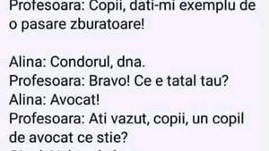 BANCUL ZILEI | "Copii, dați exemplu de o pasăre zburătoare!" Ce a răspuns Bulă