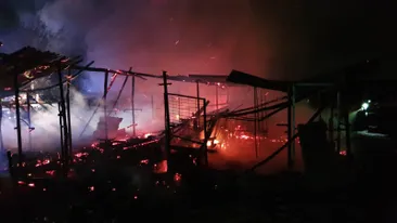 Incendiu puternic la un adăpost de animale din Dâmbovița! Îngrijitoarea intoxicată, zeci de animale moarte