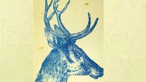 Iluzie optică virală | Doar geniile pot vedea iepurele ascuns în această poză, în maximum 9 secunde