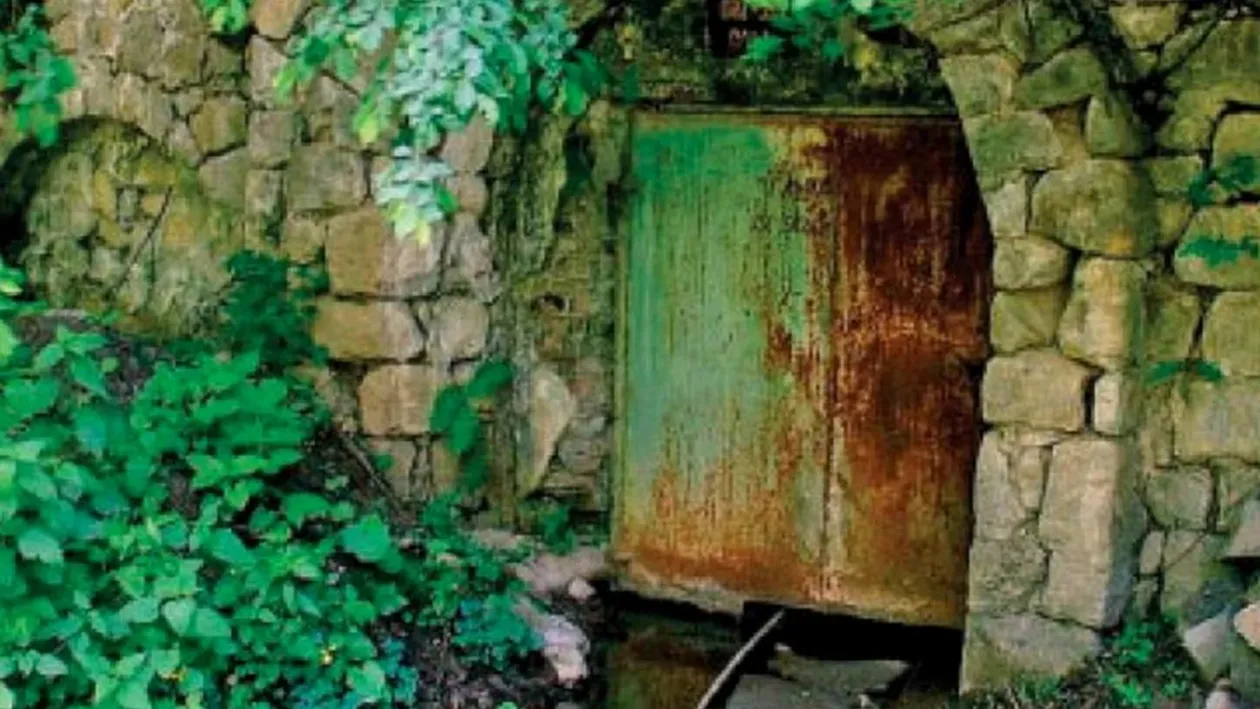 Județul din România în care au fost descoperite zăcăminte ce valorează o avere. Ce ascunde subsolul