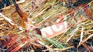 O vrabie i-a dat foc la magazin