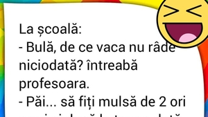 BANC | "Bulă, de ce vaca nu râde niciodată?"