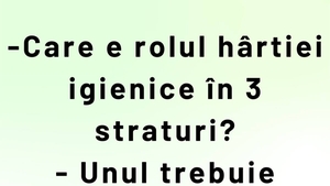 BANCUL ZILEI | Care e rolul hârtiei igienice cu 3 straturi, de fapt