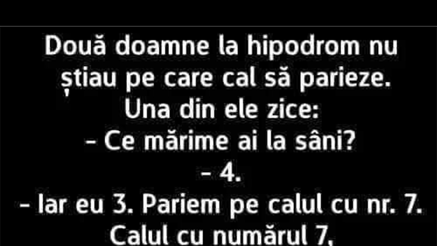 BANC | Două doamne la hipodrom
