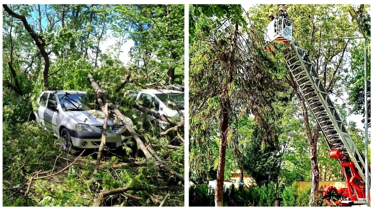 Codul galben a făcut ravagii în România. Copaci prăbușiți, drumuri blocate și mașini avariate. FOTO