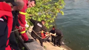 Operațiune dramatică de salvare! Un bărbat căzut în Dâmbovița a fost scos din apă de un medic SMURD
