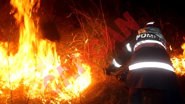 Peste o suta de hectare de vegetatie uscata au fost facute scrum in Caras-Severin