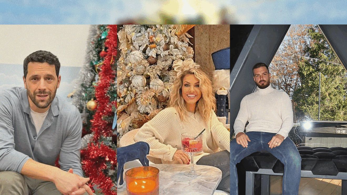 Brad natural VS brad artificial. Vedetele au dat verdictul