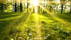 CUM VA FI VREMEA DE PAȘTE! Prognoza meteo pentru 8-10 aprilie