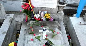 Galerie foto - poza 4