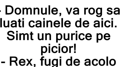 BANC | Vă rog să vă luaţi câinele de aici! Simt un...