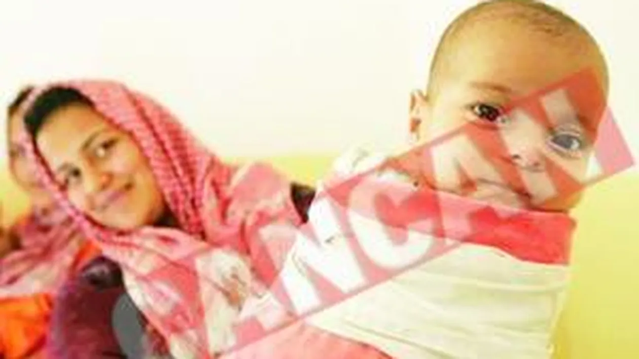 Bebelus cu barba in Indonezia