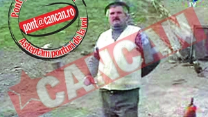 Masacru canin la Pascani