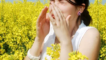 Ce alergii riscam sa facem pe timp de canicula din cauza soarelui, a parfumurilor si a plasticului?