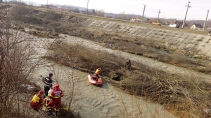 VIDEO. Argeșean de 81 de ani, salvat în ultima clipă de pompieri, din mijlocul râului învolburat
