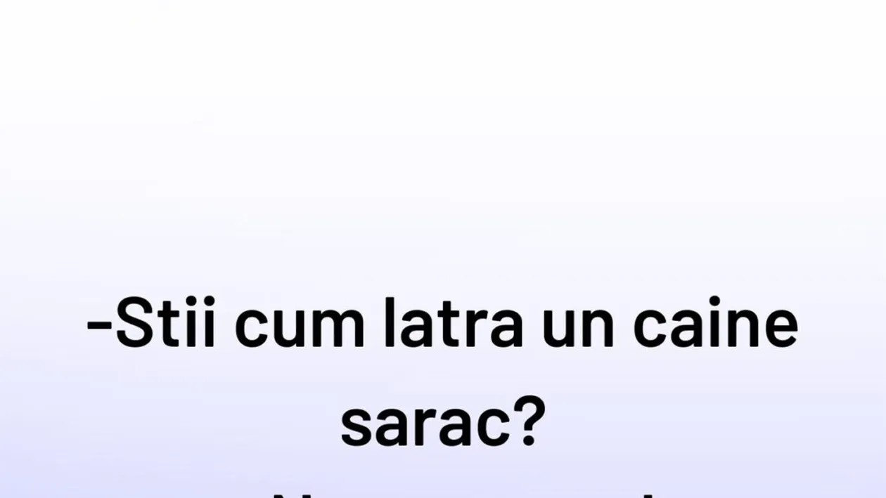 BANCUL ZILEI | Cum latră un câine sărac