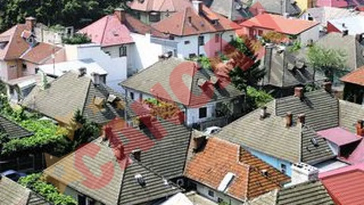 Damaroaia vine de la Domain Royal