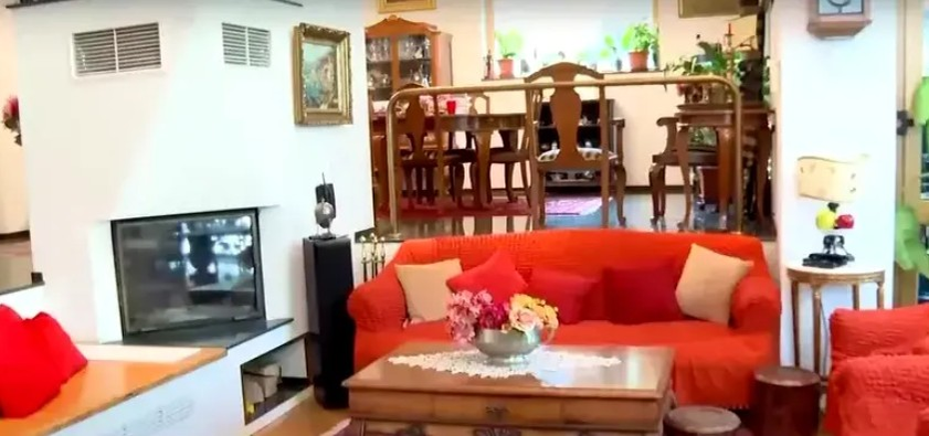 Cum arată vila Monicăi Tatoiu, de 2,5 milioane de euro. A fost construită pe o fostă groapă de gunoi