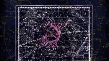 Horoscop zilnic: Horoscopul zilei de 7 septembrie 2019. Racii trebuie să învețe să refuze