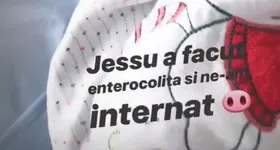 Galerie foto - poza 3