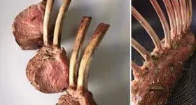 Galerie foto - poza 4