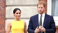 Meghan, prinsă deghizată. De cine se ascunde soția lui Harry