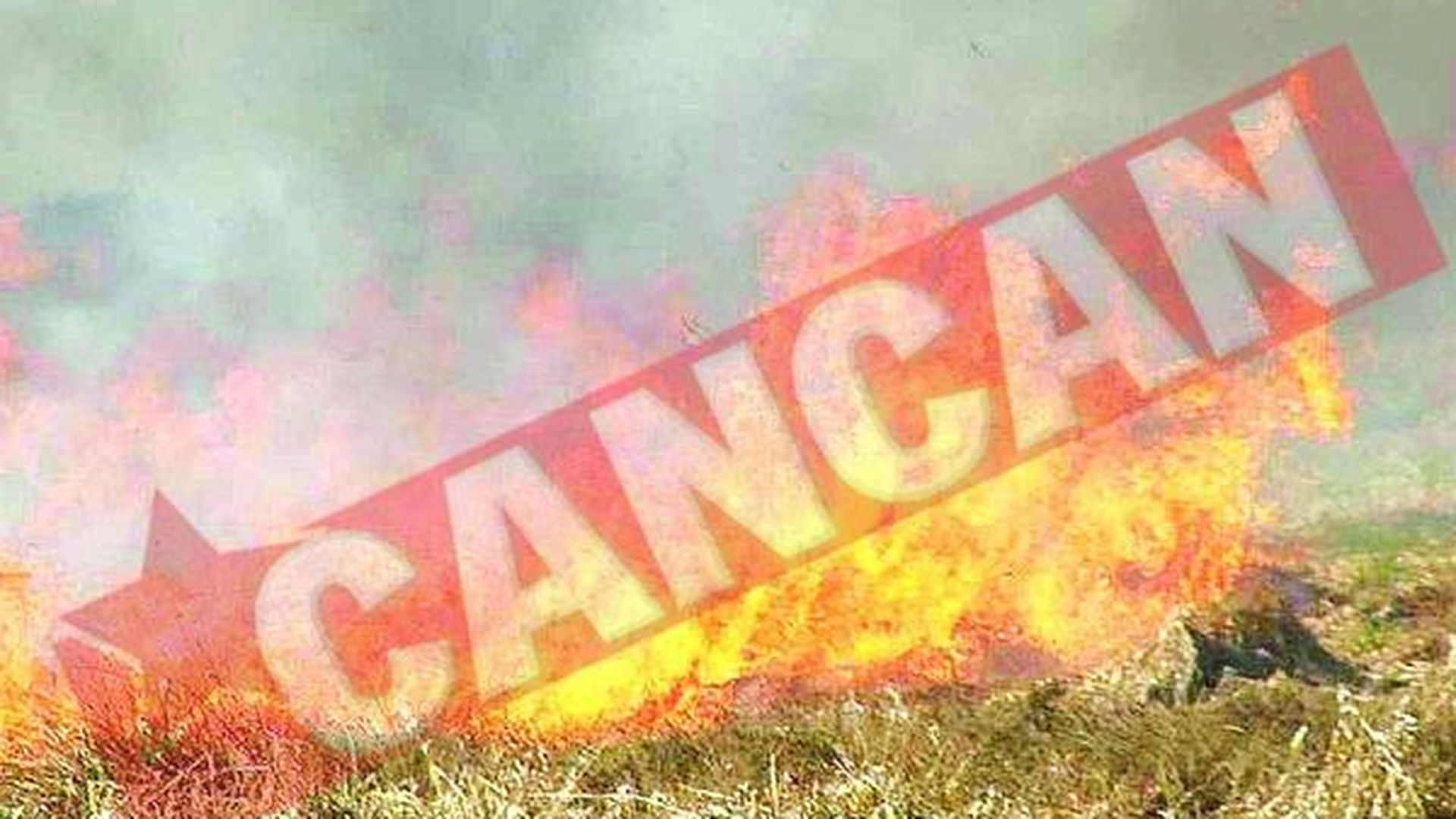 Incendiu la Parcul National Cozia