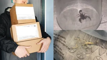 Scorpioni în comenzile primite de pe Shein. Un alt video postat de o româncă s-a viralizat rapid!