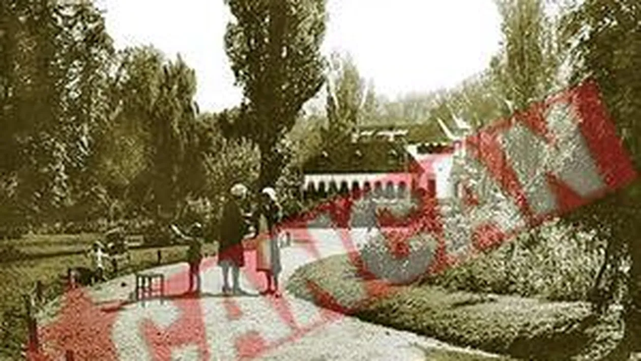 Imperiul prostituatelor din parcul Cismigiu