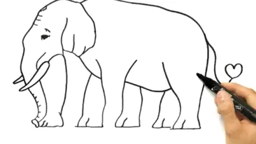 Iluzia optică a zilei | Ce este greşit la elefantul din imagine? Răspunsul corect e incredibil de simplu