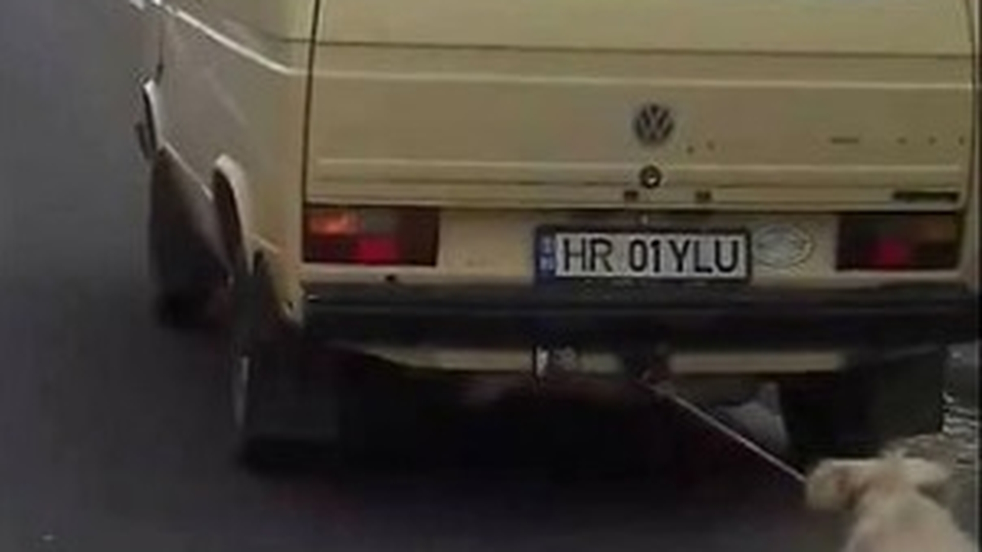 Halucinant! Cine este bărbatul din Harghita care a legat câinele de mașină și l-a târât pe șosea