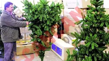 Se poarta brazii cu varful in jos!