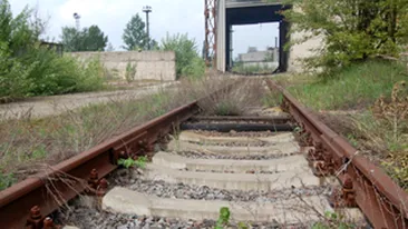 O femeie si un copil au murit dupa ce masina in care se aflau a fost lovita de un tren